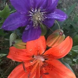 Meet your Posher, Kristy